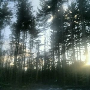 Meet your Posher, Patt